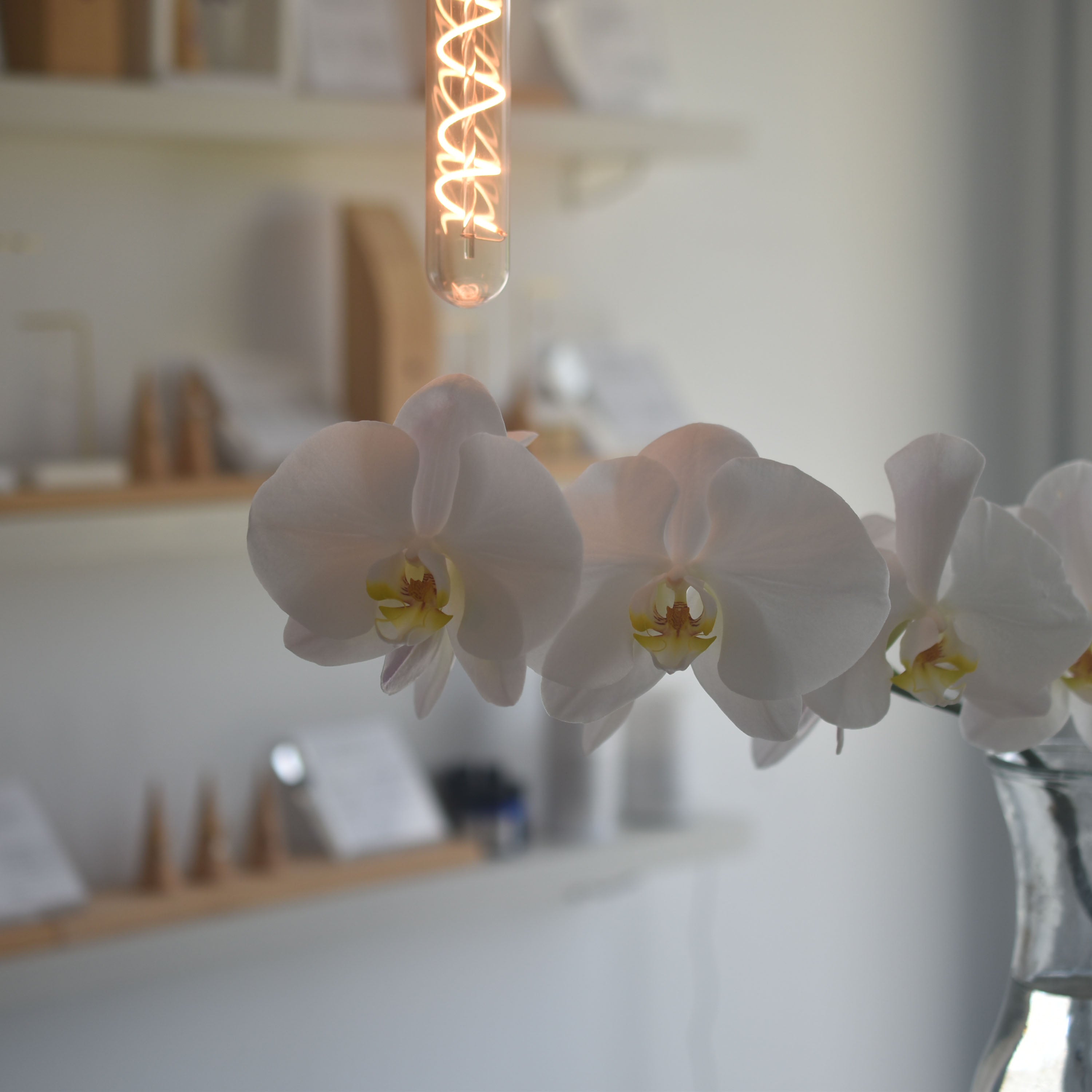 2周年記念セールのご案内